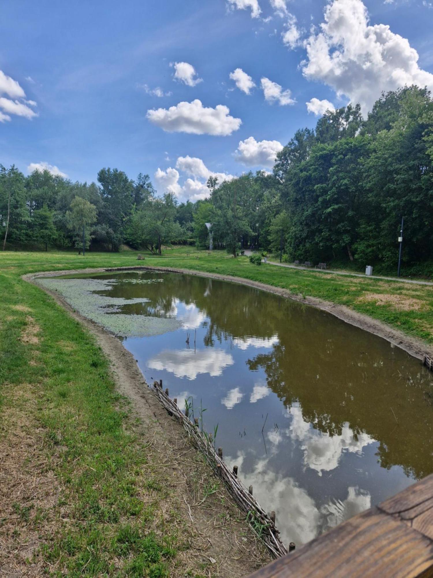 Apartament Cichy I Wygodny Stalowa Wola Dış mekan fotoğraf